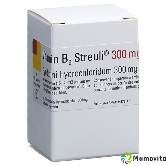 Vitamin B6 Streuli Tabletten 300mg 20 Stück buy online