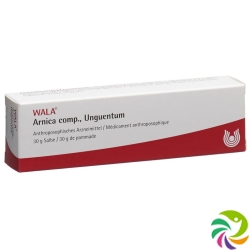 Wala Arnica Comp Salbe Tube 30g