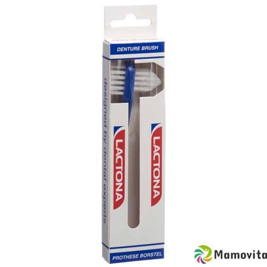 Lactona denture brush buy online