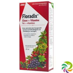 Floradix vitamins + organic iron Juice bottle 250ml