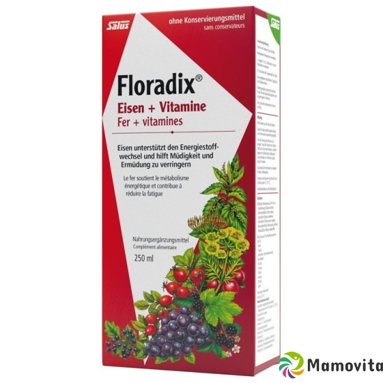 Floradix vitamins + organic iron Juice bottle 250ml buy online