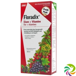 Floradix vitamins + organic iron Juice bottle 500ml