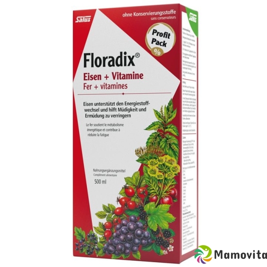 Floradix vitamins + organic iron Juice bottle 500ml buy online