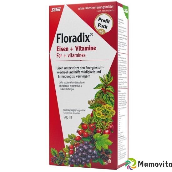 Floradix vitamins + organic iron Juice bottle 700ml buy online