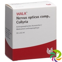 Wala Nervus Opticus Comp Augentropfen 30x 0.5ml