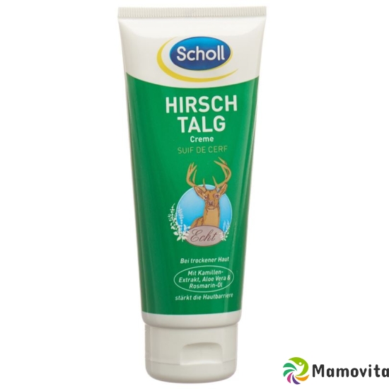 Scholl Hirschtalg Creme 100ml buy online