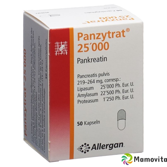 Panzytrat 25000 Kapseln 50 Stück buy online