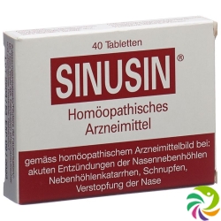 Sinusin 400mg 40 Tabletten