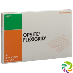 Opsite Flexigrid Folienverband 15x20cm 10 Beutel