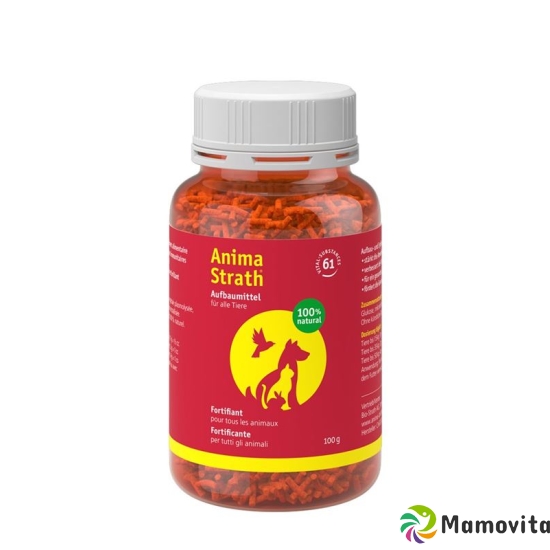 Anima Strath Aufbaumittel 100g buy online