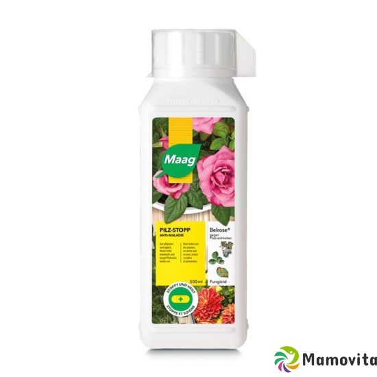 Belrose Gegen Pilzkrankheit 500ml buy online