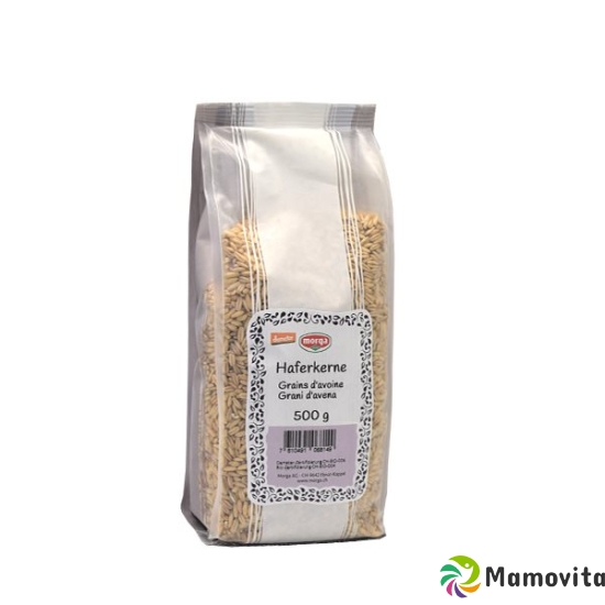 Holle Haferkernen Demeter 500g buy online