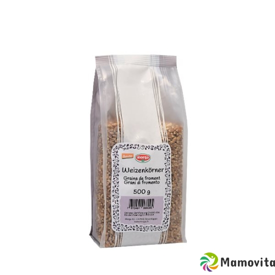 Holle Weizen Demeter 500g buy online