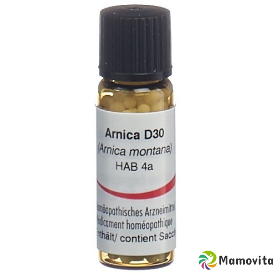 Omida Arnica Montana Globuli D 30 2g buy online