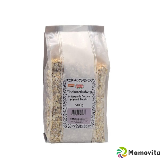 Holle Flockenmischung Demeter 500g buy online