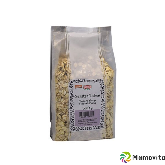 Holle Gerstenflocken Demeter 500g buy online