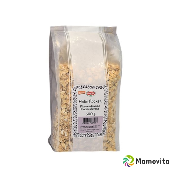 Holle Haferflocken Demeter 500g buy online