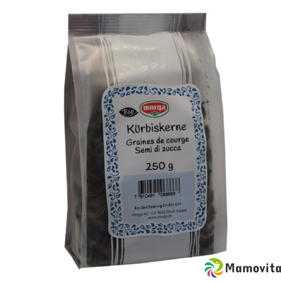 Holle Kürbiskerne Bio 250g buy online