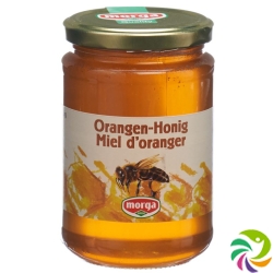 Morga Orangen Honig Glas 500g