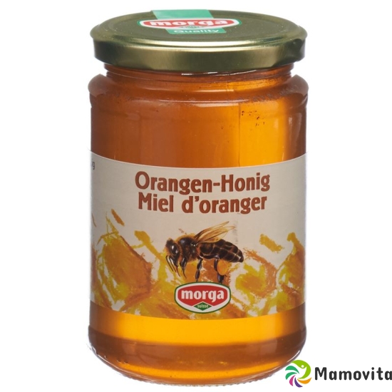 Morga Orangen Honig Glas 500g buy online