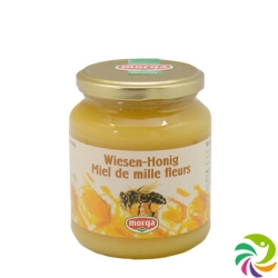 Morga Wiesen-Honig Glas 500g