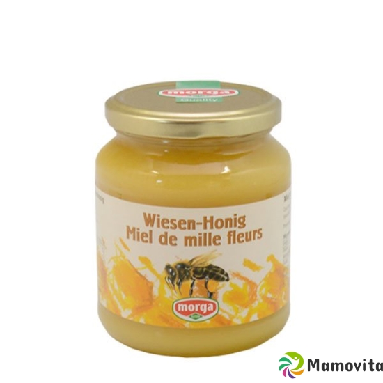 Morga Wiesen-Honig Glas 500g buy online