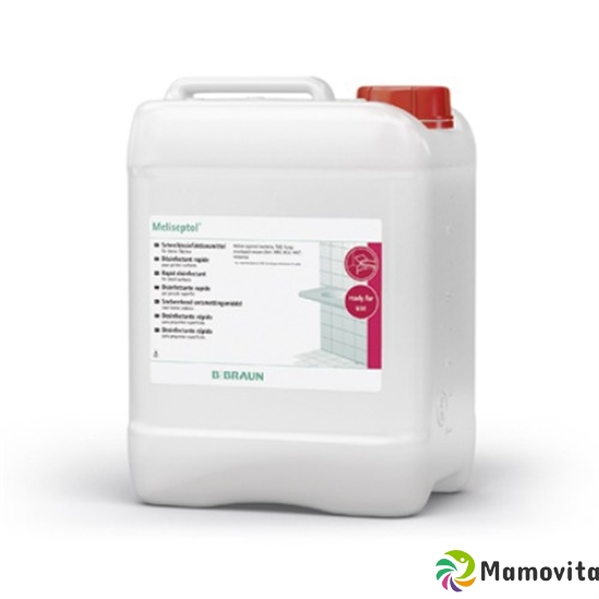 Meliseptol Kanne 5L buy online