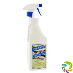 Schimmel Stop Spray 500ml