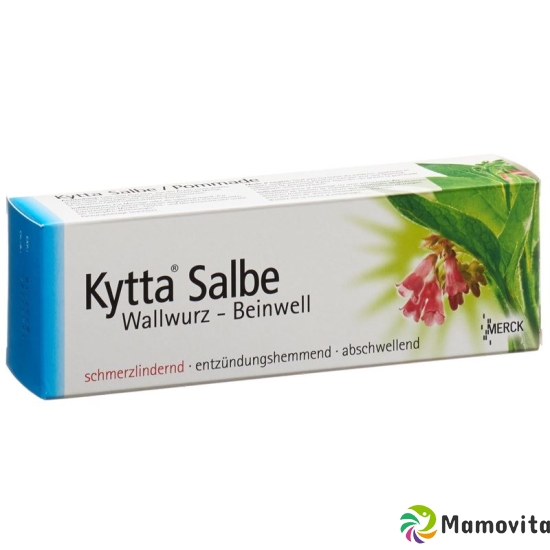 Kytta Salbe 100g buy online