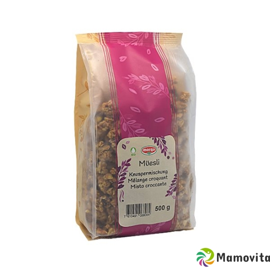 Holle Müesli Knuspermischung Bio 500g buy online