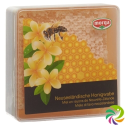 Biorex Honig Waben 340g