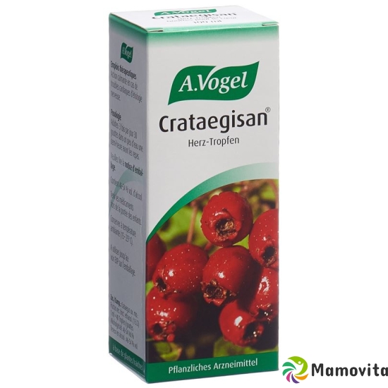 Crataegisan Tropfen 100ml buy online