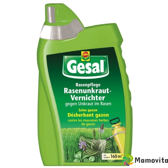 Gesal Rasenunkraut Vernichter 500ml buy online