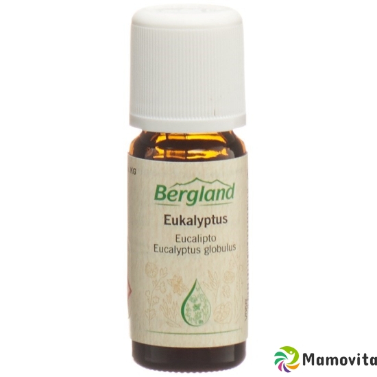 Bergland Eukalyptus-Öl 10ml buy online