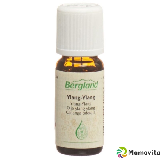 Bergland Ylang Ylang-Öl 10ml buy online