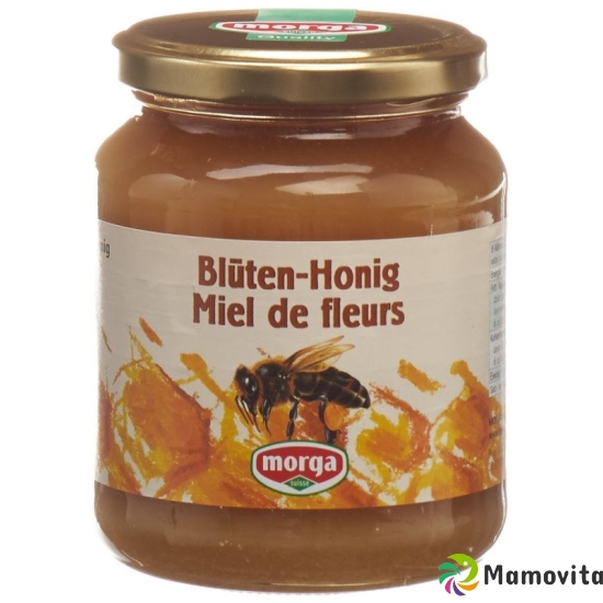 Morga Blüten Honig Ausland 500g buy online