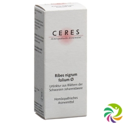 Ceres Ribes Nigrum Urtinktur 20ml