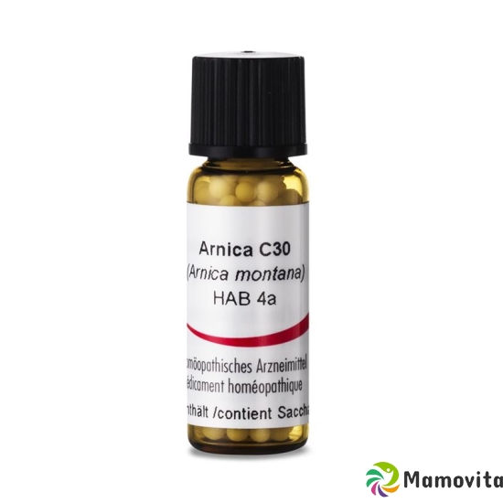 Omida Arnica Montana Globuli C 30 2g buy online