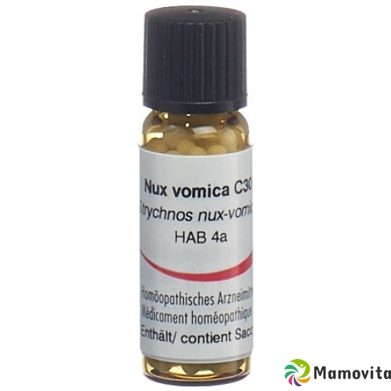 Omida Nux Vomica Globuli C 30 2g buy online