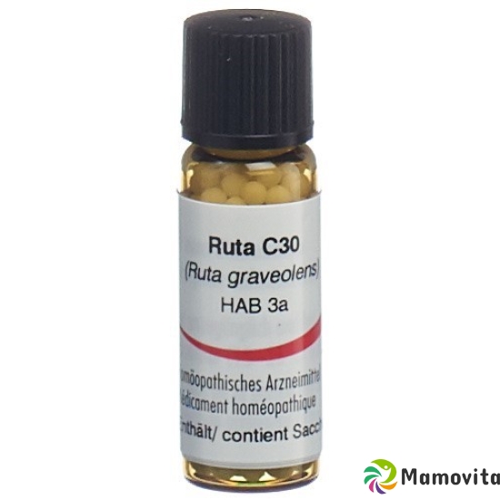 Omida Ruta Globuli C 30 2g buy online