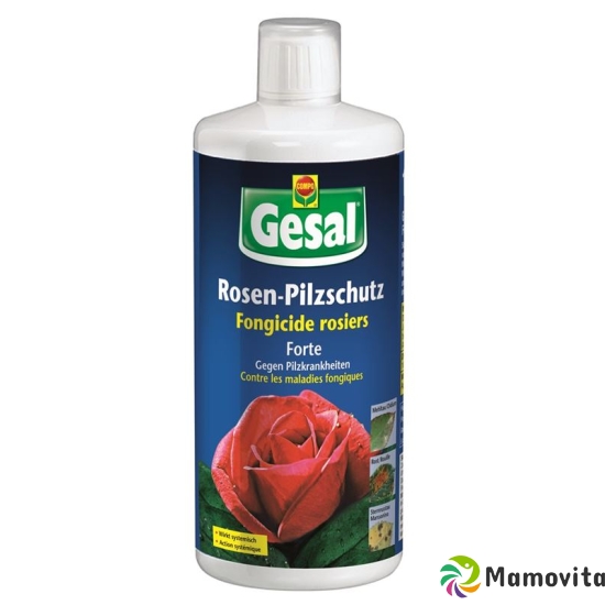 Gesal Rosen Pilzschutz Forte 250ml buy online