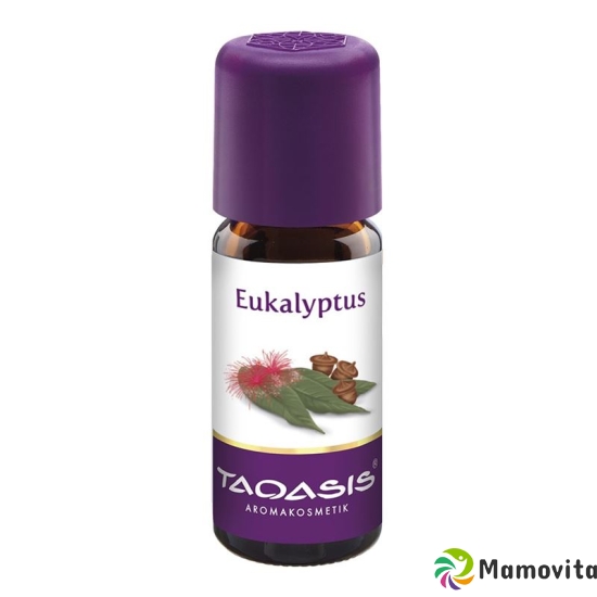 Taoasis Eukalyptus Ätherisches Öl 10ml buy online