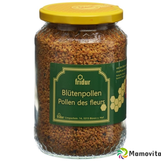 Fridur Blütenpollen Granulat 500g buy online