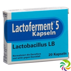 Lactoferment Kapseln 20 Stück