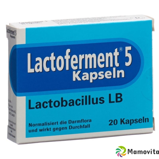 Lactoferment Kapseln 20 Stück buy online