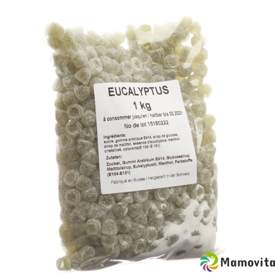 Dehly Eukalyptus Pastillen M Zucker 1kg buy online