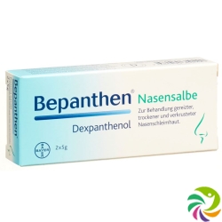 Bepanthen Nasensalbe 2x 5g