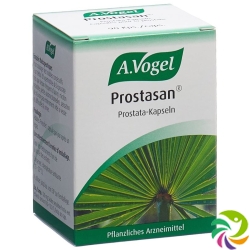 Prostasan 90 Kapseln