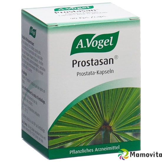 Prostasan 90 Kapseln buy online