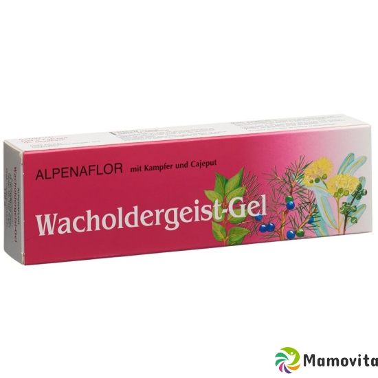 Alpenaflor Wacholder Gel 110g buy online